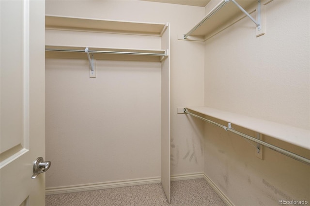 1067 Uinta Way Unit 1067, Denver, CO 80230 - walk in closet with carpet floors