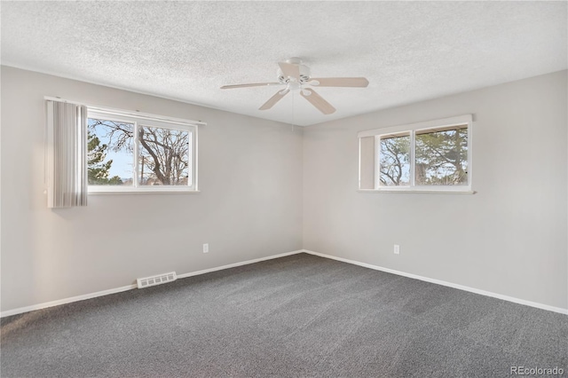 unfurnished room featuring plenty of natural light, ceiling fan, carpet floors, and a textured ceiling