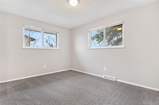 carpeted empty room with a healthy amount of sunlight and a textured ceiling