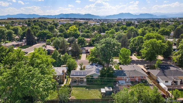 216 Hemlock, Broomfield, CO 80020 - photo 33