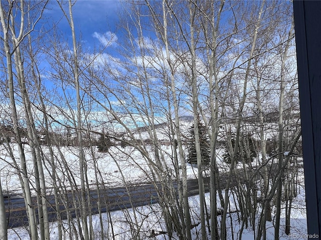 101 Blue Grouse Ln Unit 221, Silverthorne, CO 80498 - photo 26