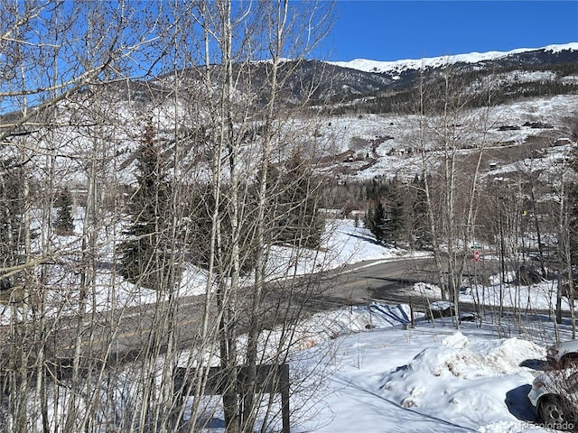 101 Blue Grouse Ln Unit 221, Silverthorne, CO 80498 - photo 40
