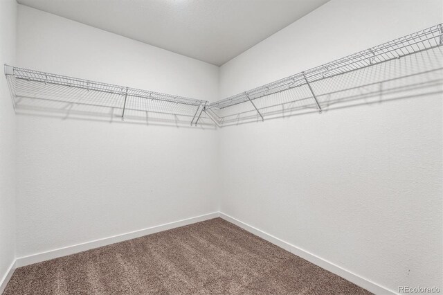 9256 Telluride Ct, Commerce City, CO 80022 - photo 19