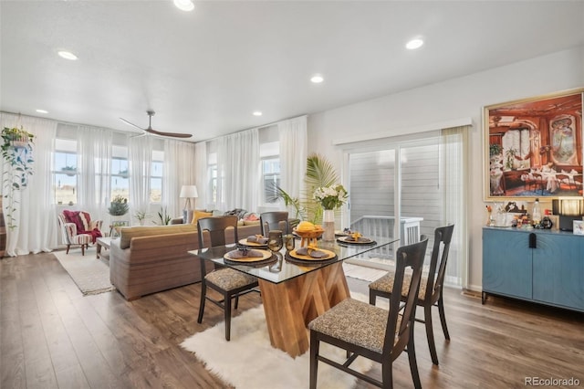 dining area with ceiling fan and hardwood / wood-style flooring