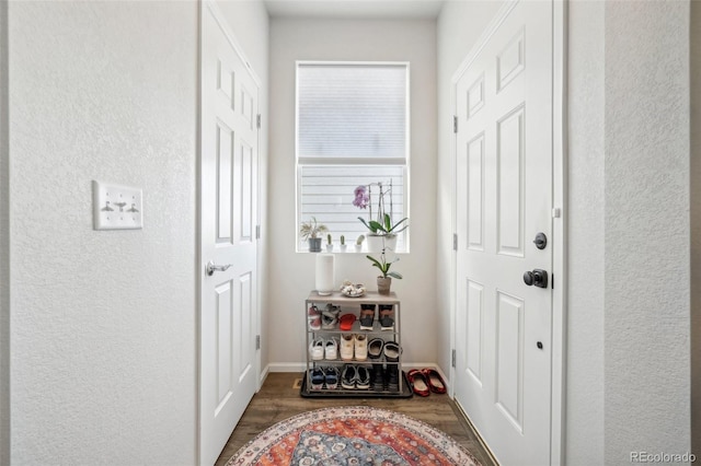 doorway to outside with dark hardwood / wood-style floors