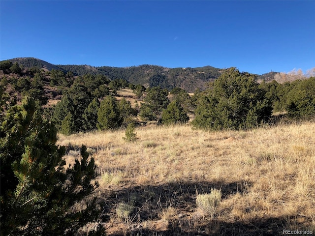 Address Not Disclosed, Salida CO, 81201 land for sale