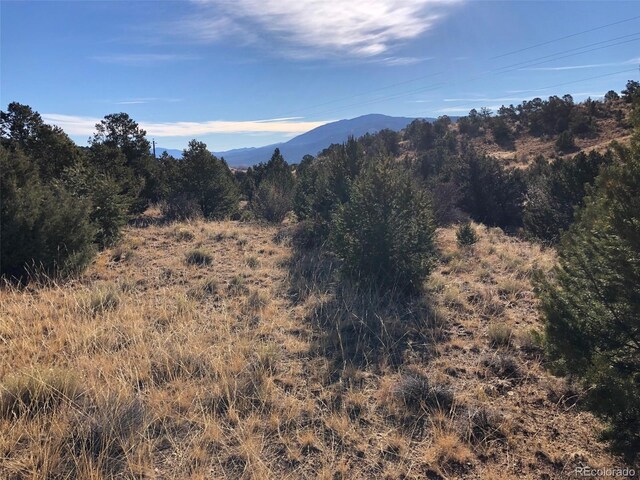 Listing photo 3 for Address Not Disclosed, Salida CO 81201