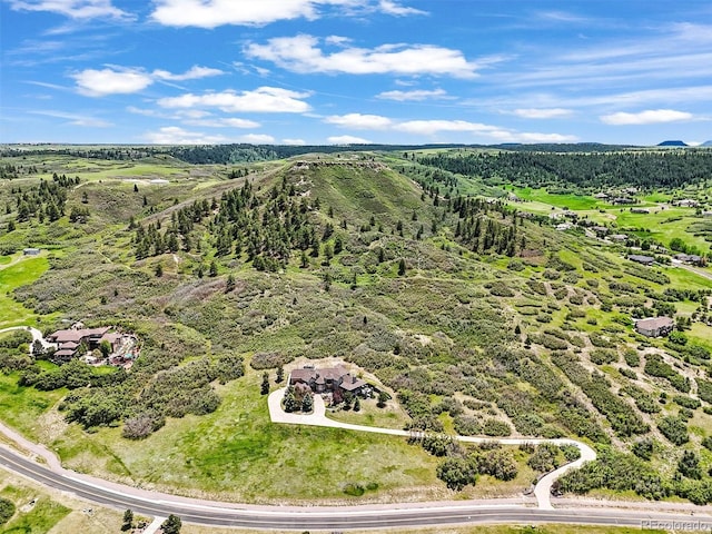4222 Serenade Rd, Castle Rock, CO 80104 - photo 3