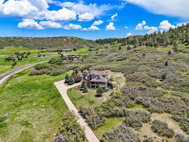 4222 Serenade Rd, Castle Rock, CO 80104 - photo 50