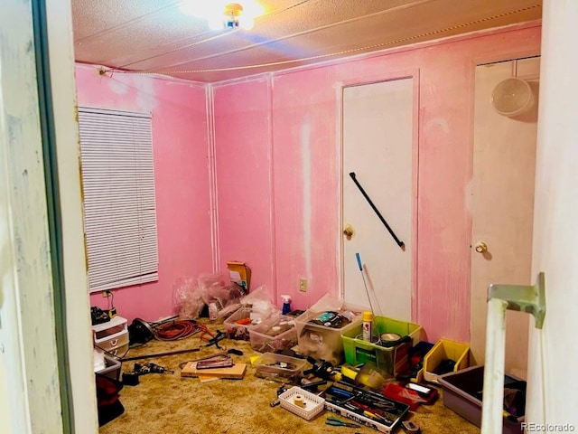 miscellaneous room with carpet flooring