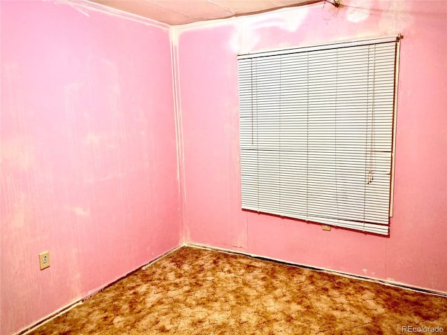 745 Cedar Ave, Cedaredge, CO 81413 - view of carpeted empty room