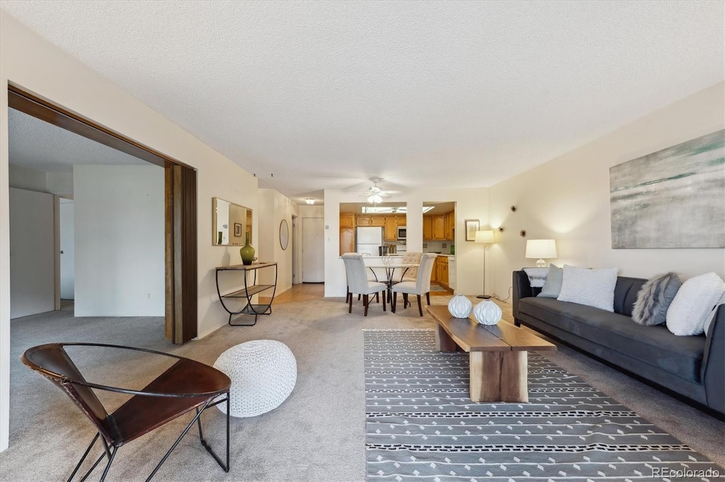 carpeted living room with a textured ceiling