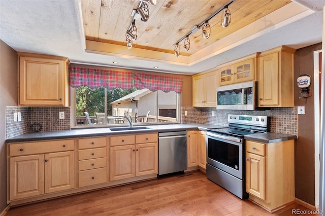 kitchen featuring rail lighting, stainless steel appliances, a tray ceiling, light hardwood / wood-style flooring, and sink