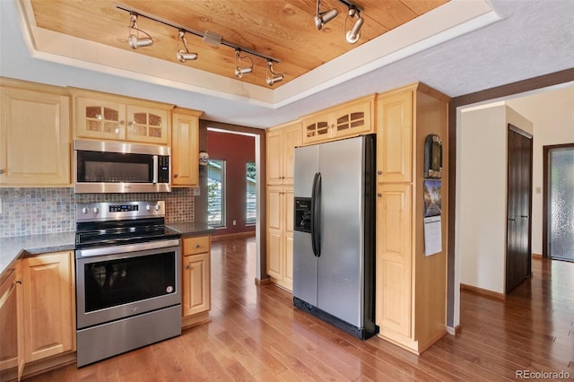 kitchen with appliances with stainless steel finishes, a raised ceiling, hardwood / wood-style floors, and rail lighting