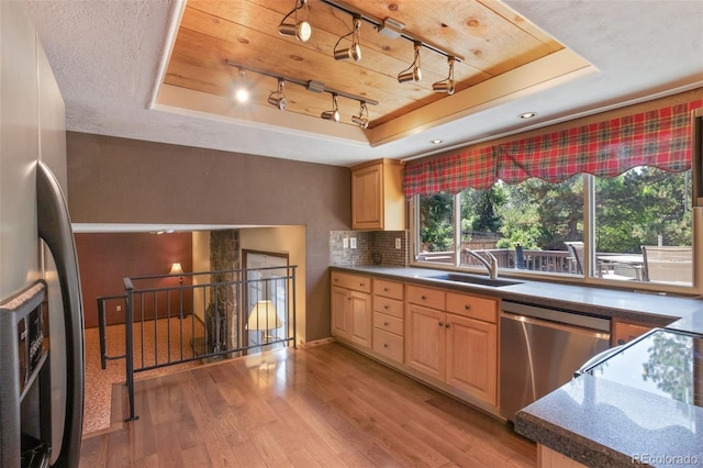 kitchen with light wood-type flooring, a tray ceiling, sink, rail lighting, and stainless steel appliances