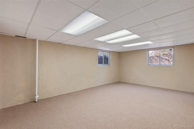 basement featuring a drop ceiling and carpet flooring