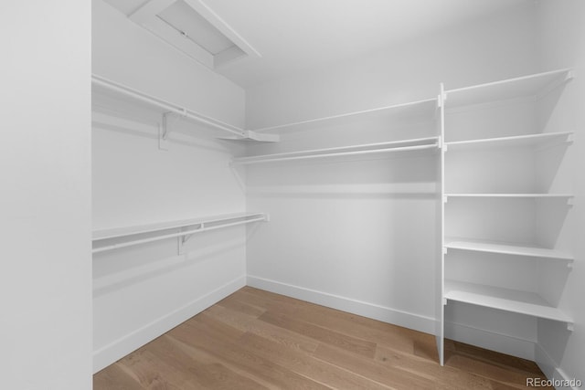 spacious closet with hardwood / wood-style floors