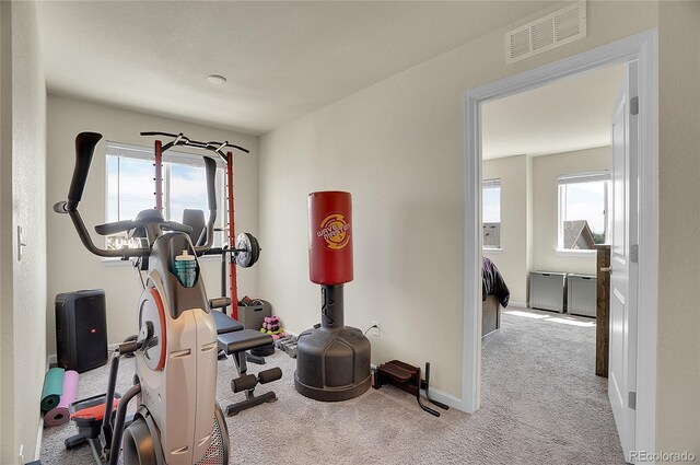 exercise area with light colored carpet and a wealth of natural light