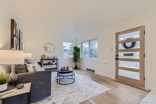 living room with hardwood / wood-style flooring