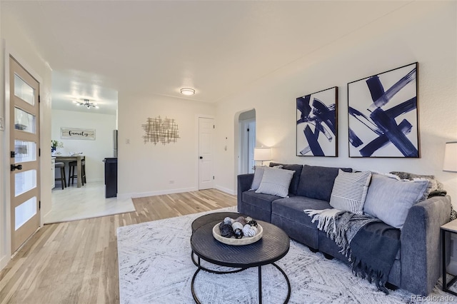 living room featuring wood-type flooring