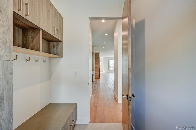 420 E Arkansas St, Buena Vista, CO 81211 - mudroom with recessed lighting and light wood-style floors