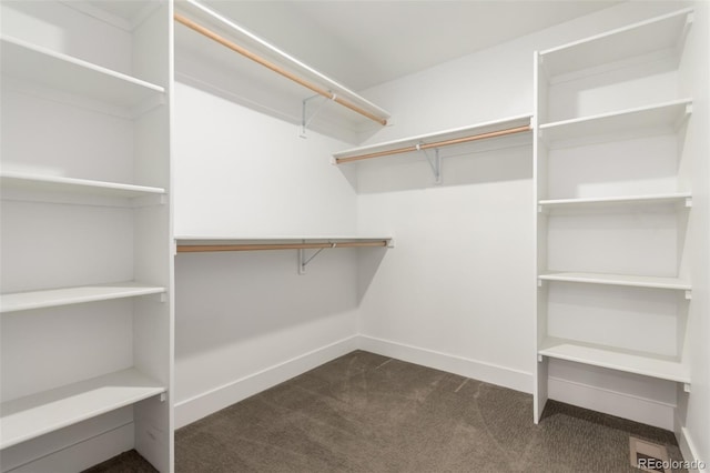 3586 S Ogden St, Englewood, CO 80113 - walk in closet with dark carpet