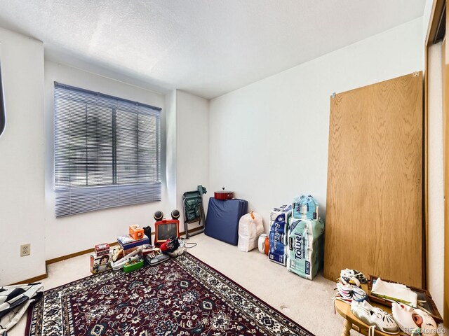 6154 Quitman St, Arvada, CO 80003 - photo 26