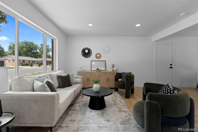 3036 Wolff St S, Denver, CO 80236 - living area featuring recessed lighting and light wood-style floors