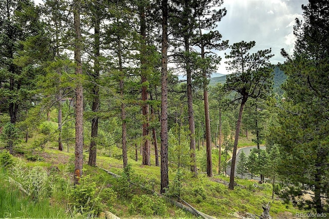 6875 Lynx Lair Rd, Evergreen, CO 80439 - photo 1