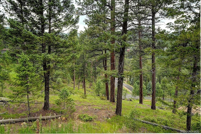 6875 Lynx Lair Rd, Evergreen, CO 80439 - photo 2