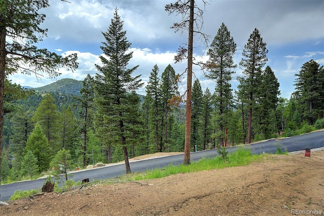 6875 Lynx Lair Rd, Evergreen, CO 80439 - photo 3