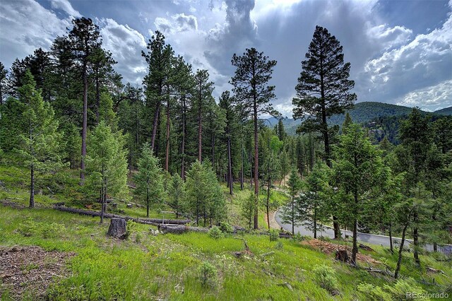 6875 Lynx Lair Rd, Evergreen, CO 80439 - photo 4