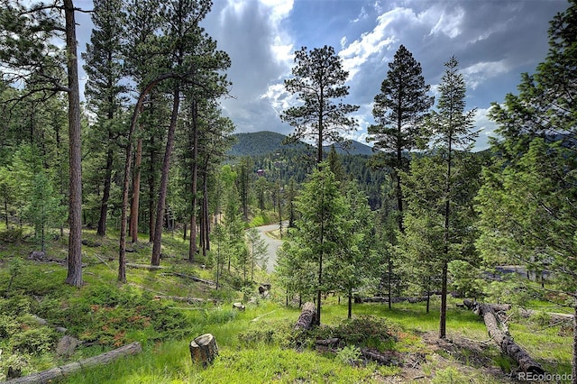 6875 Lynx Lair Rd, Evergreen, CO 80439 - photo 5