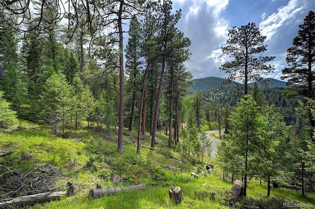 6875 Lynx Lair Rd, Evergreen, CO 80439 - photo 6