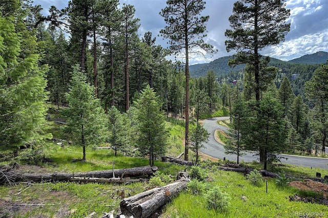 6875 Lynx Lair Rd, Evergreen, CO 80439 - photo 7