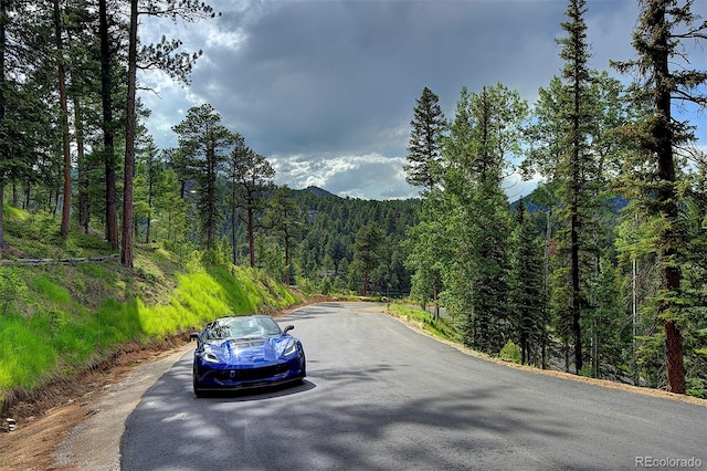 6875 Lynx Lair Rd, Evergreen, CO 80439 - photo 8