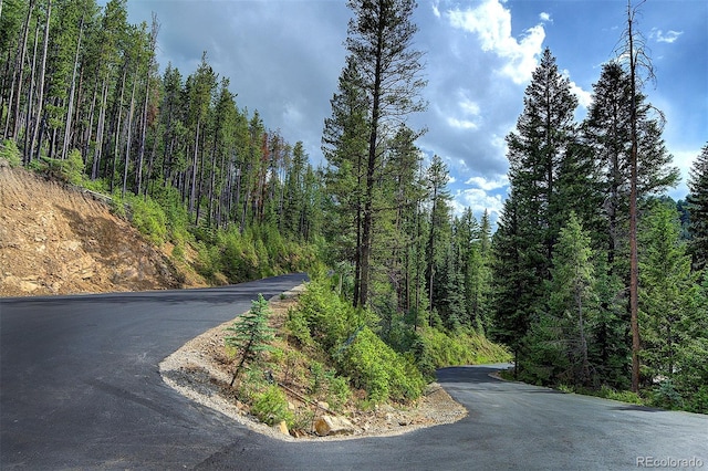 6875 Lynx Lair Rd, Evergreen, CO 80439 - photo 9