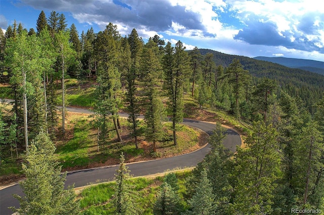 6875 Lynx Lair Rd, Evergreen, CO 80439 - photo 13