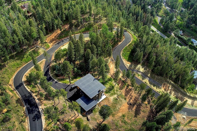 6875 Lynx Lair Rd, Evergreen, CO 80439 - photo 14