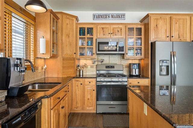 kitchen featuring stainless steel appliances, a sink, decorative backsplash, dark wood-style floors, and dark stone countertops