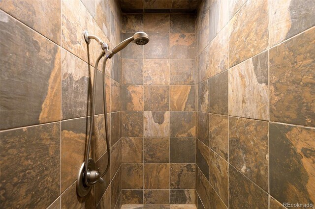 interior details featuring tiled shower