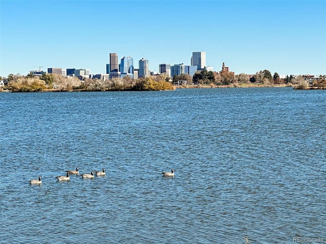 property view of water