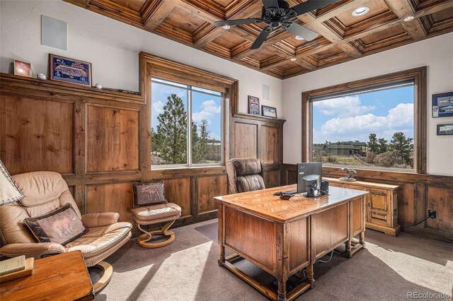 3406 Lost Lake Ct, Franktown, CO 80116 - photo 17