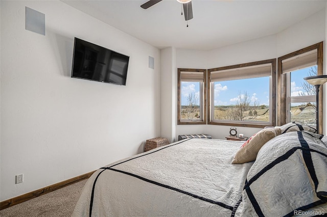 3406 Lost Lake Ct, Franktown, CO 80116 - photo 20