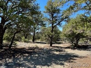 15 Mill Run Rd, Mosca CO, 81146 land for sale