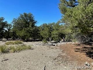 Listing photo 3 for 15 Mill Run Rd, Mosca CO 81146