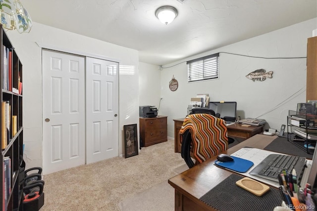 home office with light carpet