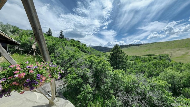 7490 Apache Way, Sedalia, CO 80135 - photo 12