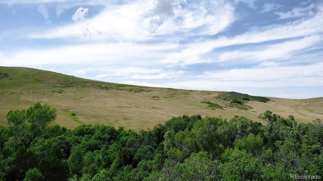 7490 Apache Way, Sedalia, CO 80135 - photo 13