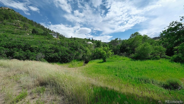 7490 Apache Way, Sedalia, CO 80135 - photo 29